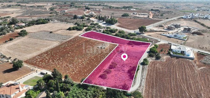 Field for sale in Sotira