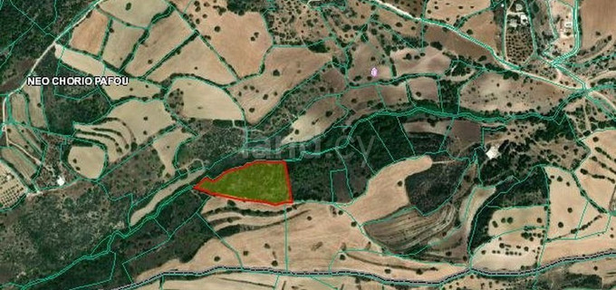 Agricultural field for sale in Paphos