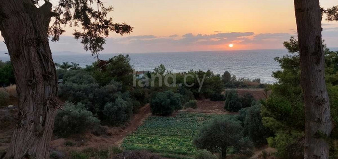 Field for sale in Paphos