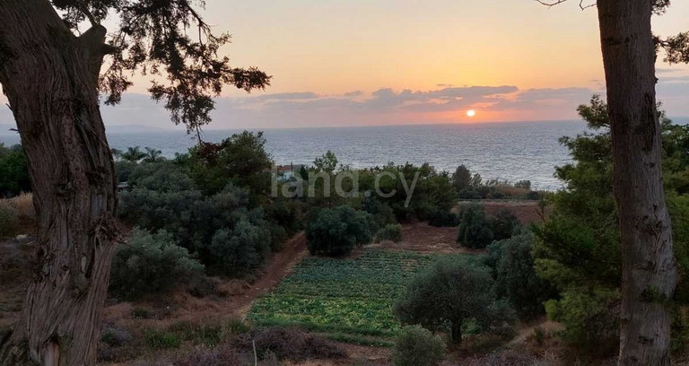 Αγροτεμάχιο προς πώληση - Πάφος