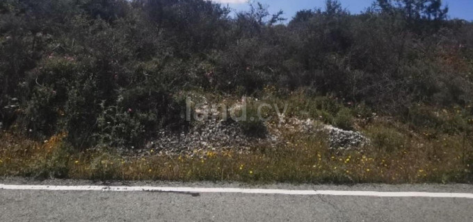 Landwirtschaftliches Baugebiet in Paphos zu verkaufen