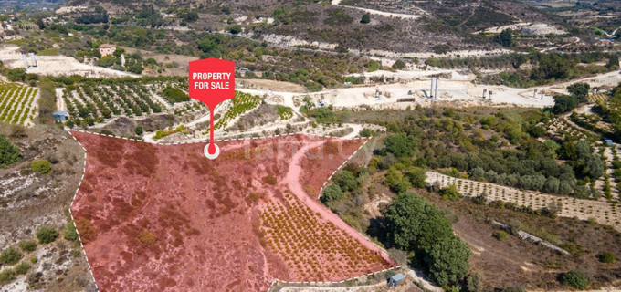 Agricultural field for sale in Paphos