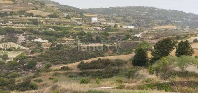 Terrain agricole à vendre à Paphos