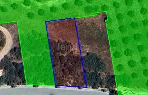 Agricultural plot for sale in Paphos