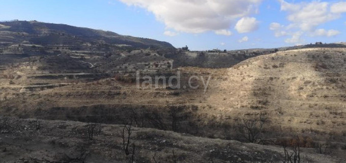 Agricultural field for sale in Limassol
