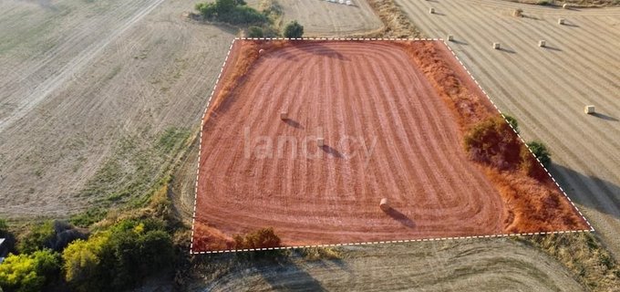 Campo residencial a la venta en Larnaca