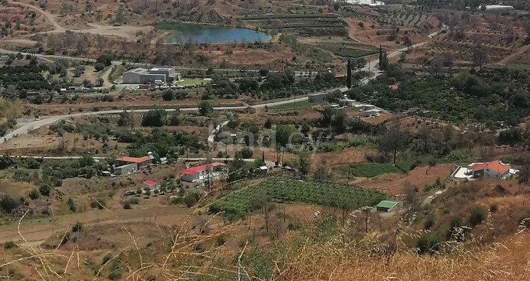 Terrain agricole à vendre à Larnaca