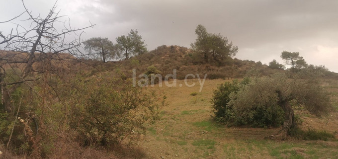 Field for sale in Larnaca