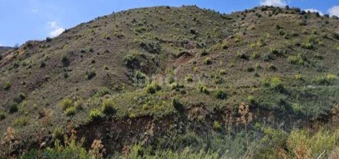 Campo agrícola a la venta en Larnaca
