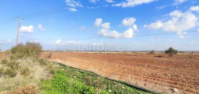 Terrain industriel à vendre à Nicosie