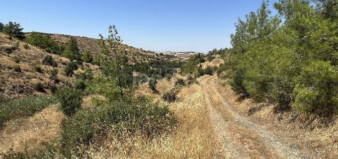 Agricultural field for sale in Nicosia