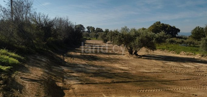 Landwirtschaftliches Grundstück in Nicosia zu verkaufen