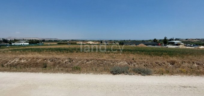 Campo agrícola a la venta en Larnaca