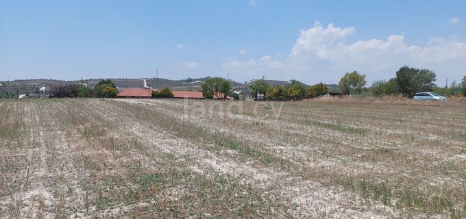 Jordbruksfält till salu i Larnaca