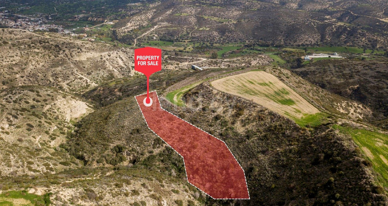Agricultural field for sale in Larnaca