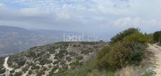 Terrain agricole à vendre à Paphos