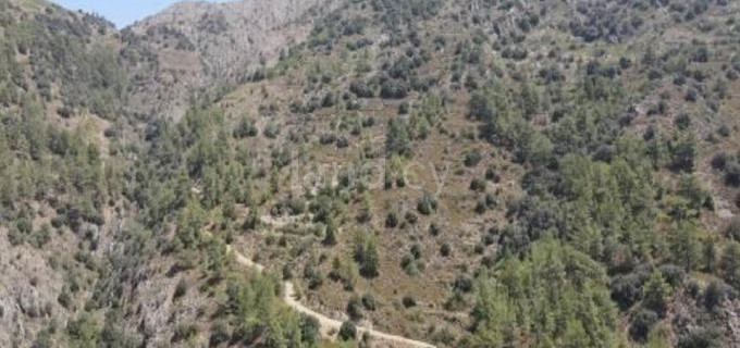 Landwirtschaftliches Baugebiet in Limassol zu verkaufen