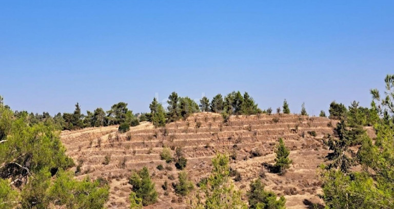 Αγροτικό αγροτεμάχιο προς πώληση - Λευκωσία