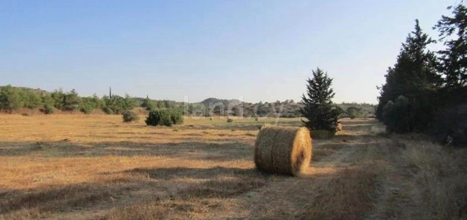 Field for sale in Larnaca