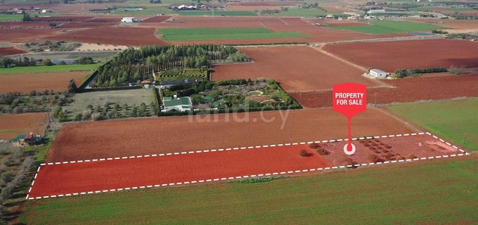 Сельскохозяйственное поле на продажу в Авгору