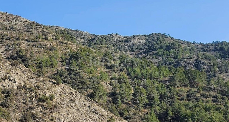 Jordbruksfält till salu i Nicosia