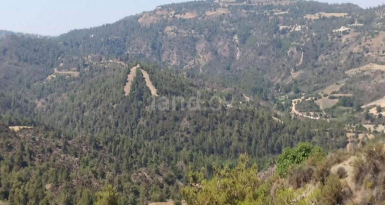 Agricultural field for sale in Paphos