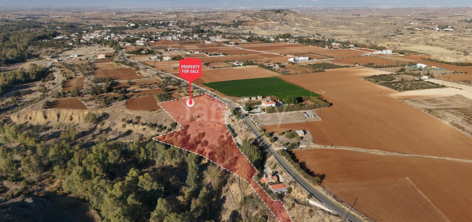 Agricultural field for sale in Nicosia