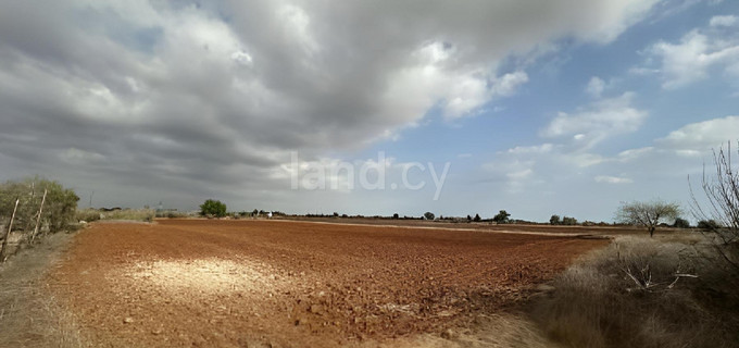 Terrain agricole à vendre à Frenaros