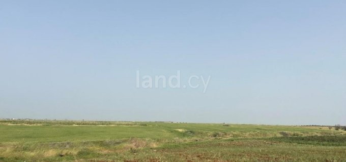 Agricultural field for sale in Nicosia