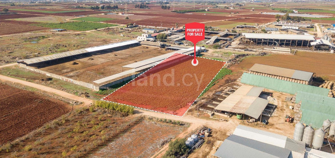 Agricultural field for sale in Larnaca