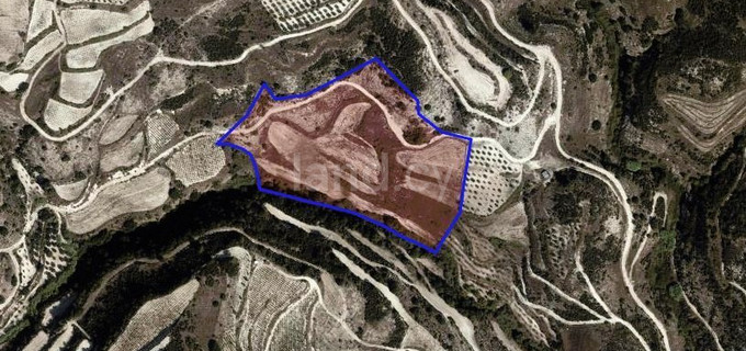 Αγροτικό αγροτεμάχιο προς πώληση - Πάφος