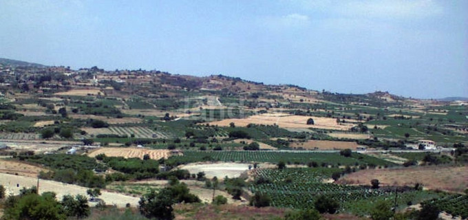 Terrain agricole à vendre à Paphos