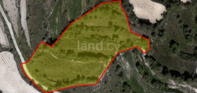 Agricultural field for sale in Paphos
