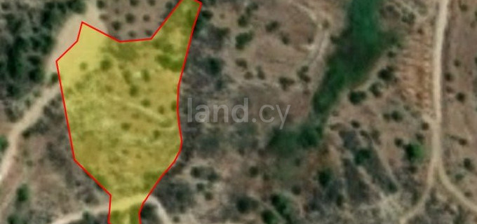 Agricultural field for sale in Paphos