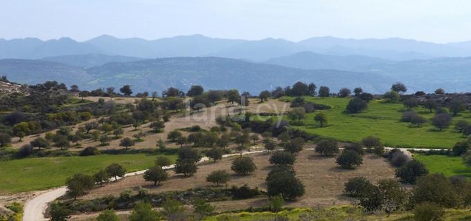 Residential plot for sale in Paphos
