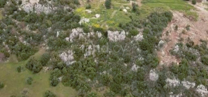 Terrain agricole à vendre à Paphos