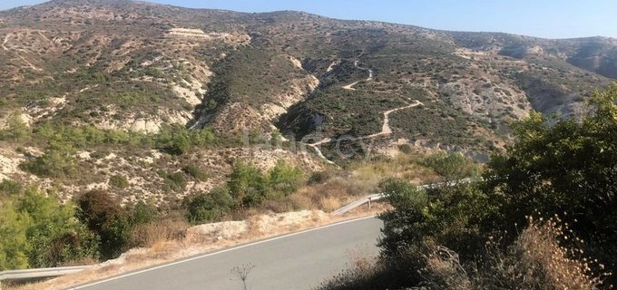 Agricultural plot for sale in Limassol