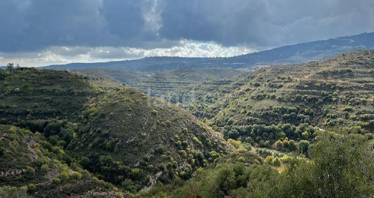 Αγροτικό αγροτεμάχιο προς πώληση - Λεμεσός