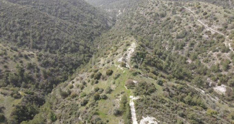 Terrain agricole à vendre à Paphos
