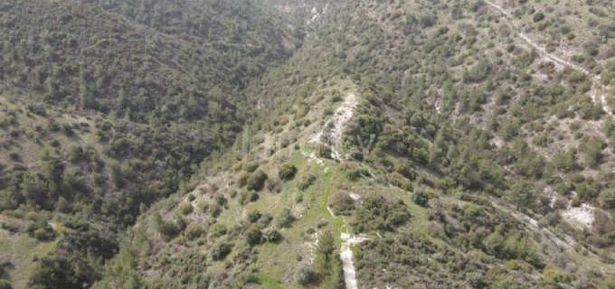 Agricultural field for sale in Paphos