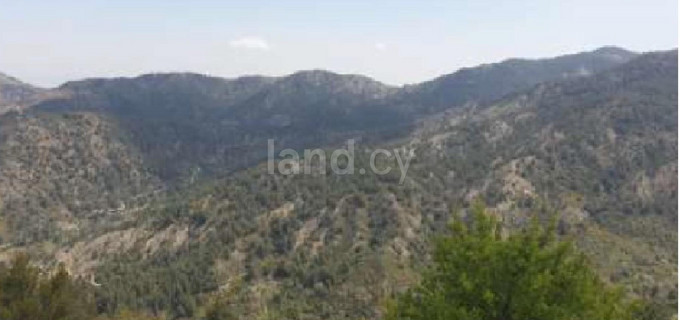 Agricultural field for sale in Nicosia