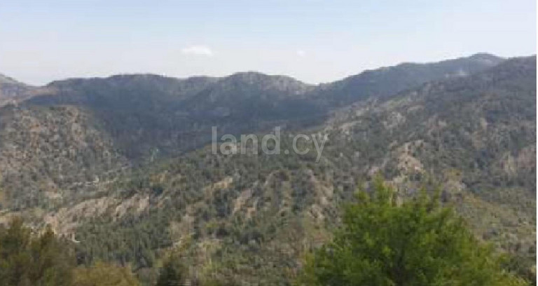 Agricultural field for sale in Nicosia