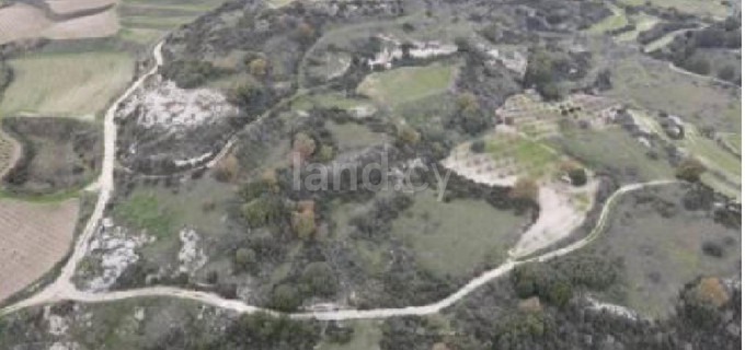 Terrain agricole à vendre à Paphos