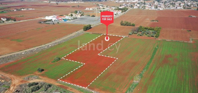 Terrain agricole à vendre à Avgorou