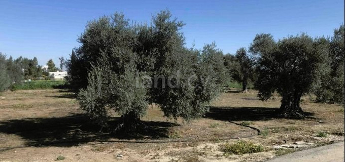 Residential plot for sale in Nicosia