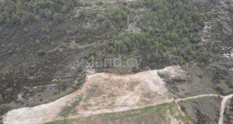 Terrain agricole à vendre à Paphos