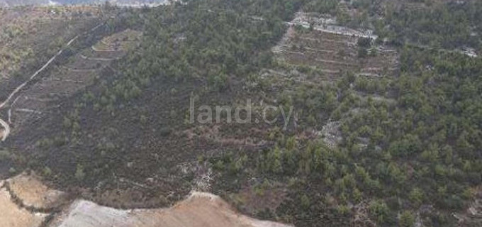 Agricultural field for sale in Paphos