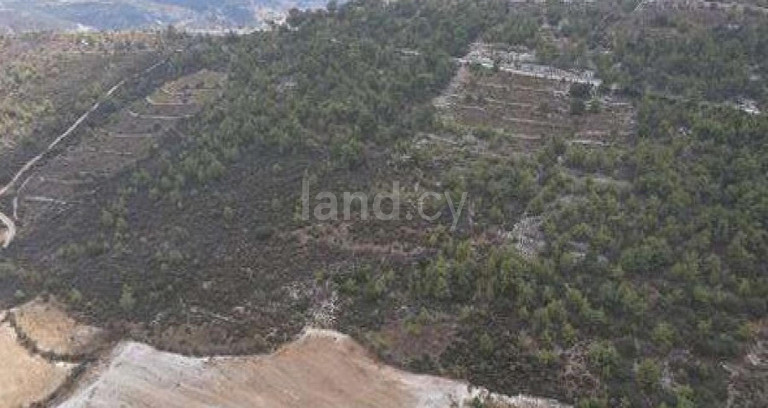 Agricultural field for sale in Paphos