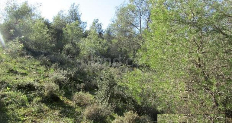 Landwirtschaftliches Baugebiet in Larnaca zu verkaufen
