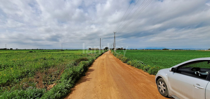 Landwirtschaftliches Baugebiet in Frenaros zu verkaufen